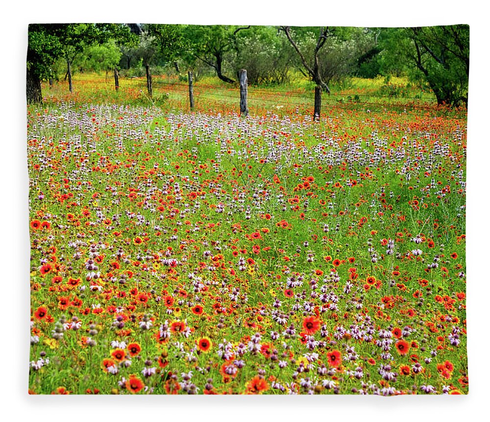 Texas Wildflowers Fleece Blanket featuring the photograph Fire Wheel Bliss by Johnny Boyd