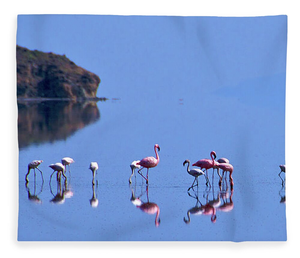 https://render.fineartamerica.com/images/rendered/default/flat/blanket/images/artworkimages/medium/2/flamingos-on-blue-lake-natron-peter-stanley--wwwphotopoacom.jpg?&targetx=-237&targety=0&imagewidth=1426&imageheight=800&modelwidth=952&modelheight=800&backgroundcolor=77A2E5&orientation=1&producttype=blanket-coral-50-60