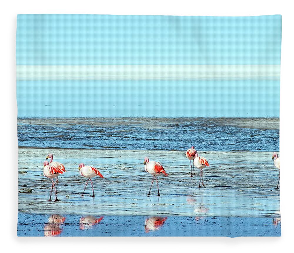 Bolivia Fleece Blanket featuring the photograph Flamingos On Salt Flats by George Kalaouzis