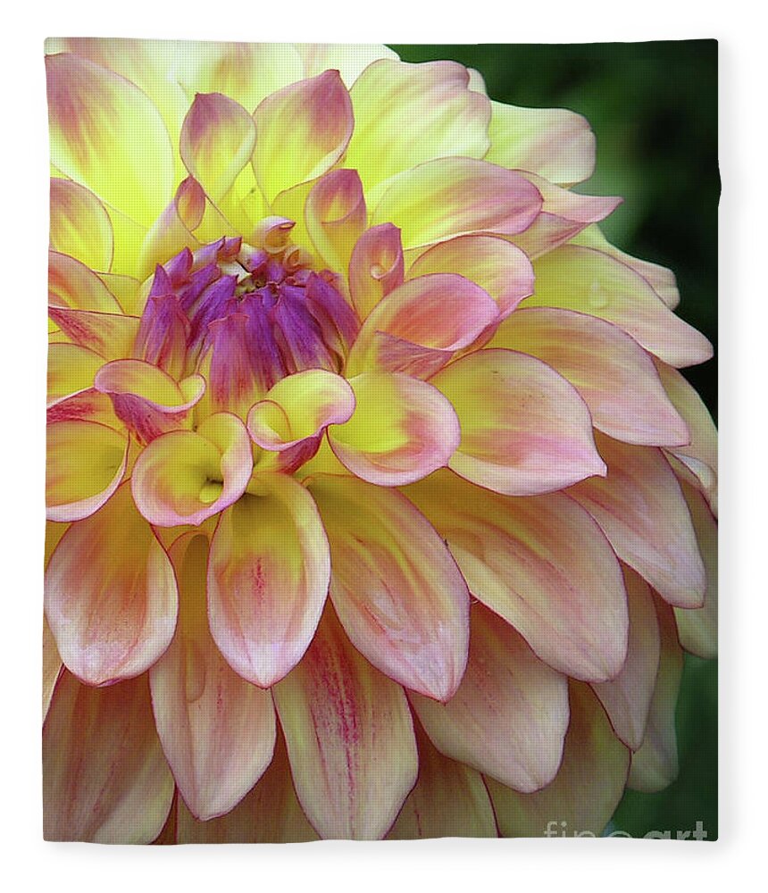 Floral Fleece Blanket featuring the photograph Dahlia Fantasy by Randall Dill