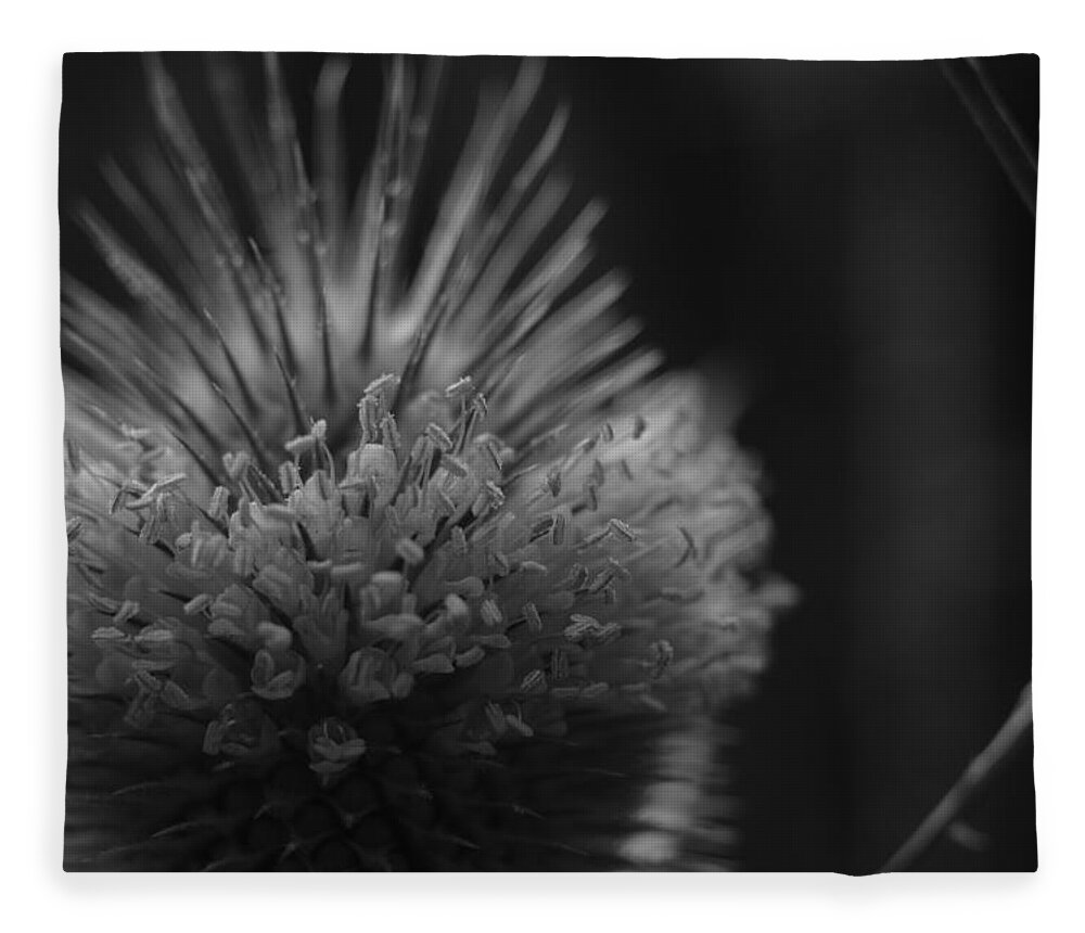 Flower Fleece Blanket featuring the photograph Flower Crown II by Jessica Myscofski