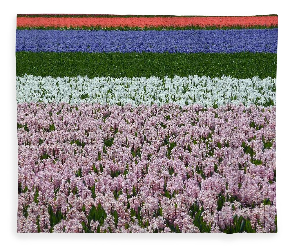Netherlands Fleece Blanket featuring the photograph Flower Fields In The Netherlands by Frans Sellies