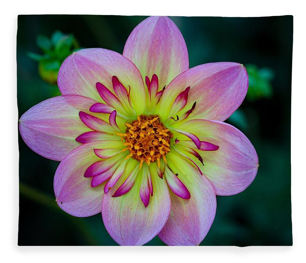 Flower Fleece Blanket featuring the photograph Flower 3 by Anamar Pictures