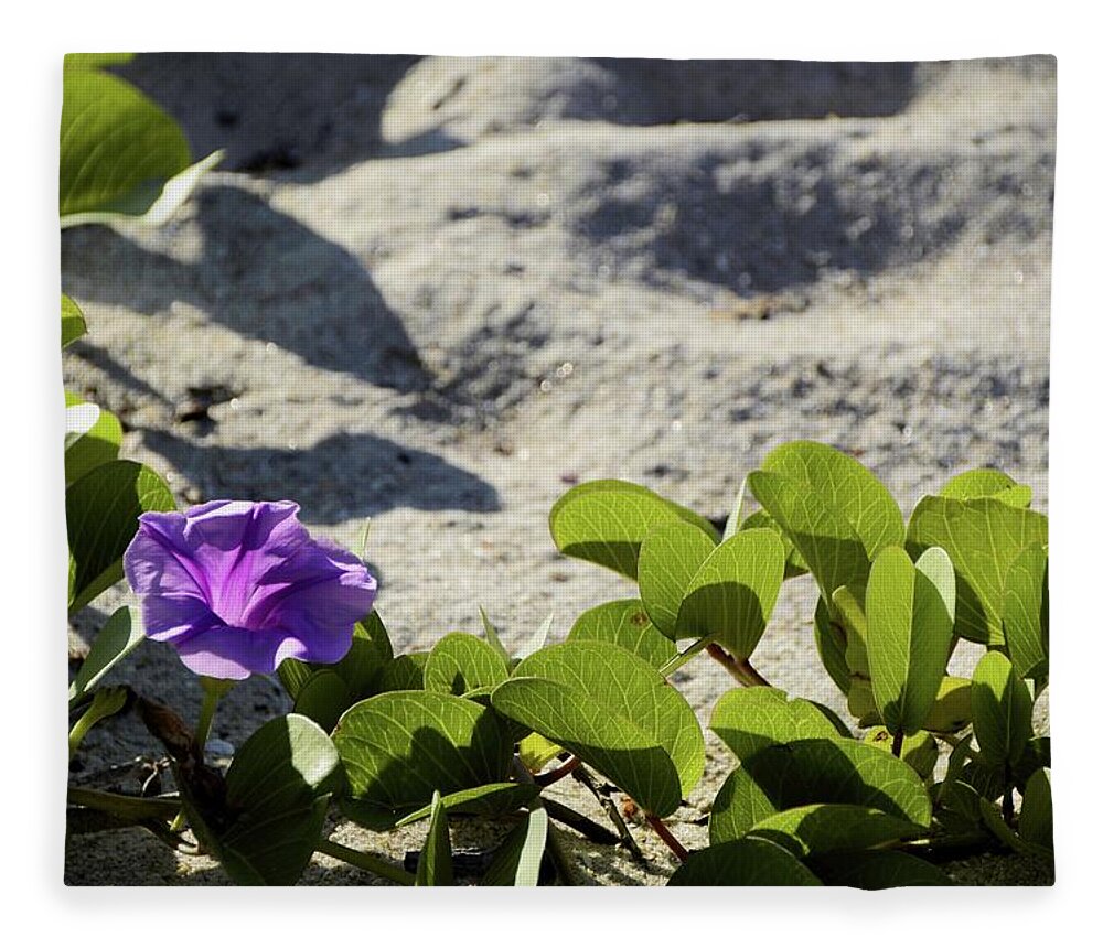 Railroad Vine Fleece Blanket featuring the photograph Flower of the Sand by T Lynn Dodsworth
