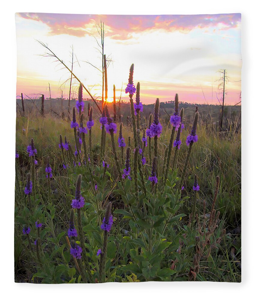 Black Hills Fleece Blanket featuring the photograph Flowers in the Black Hills by Cathy Anderson