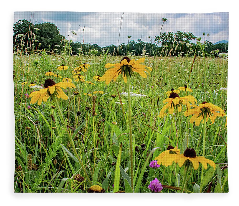 Clover Fleece Blanket featuring the photograph Flowers of the Field, Cades Cove by Marcy Wielfaert