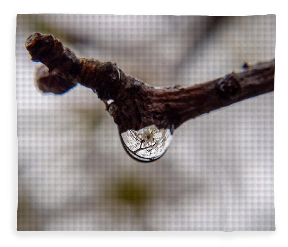 Raindrop Fleece Blanket featuring the photograph Focus on Possibilities by Ivars Vilums
