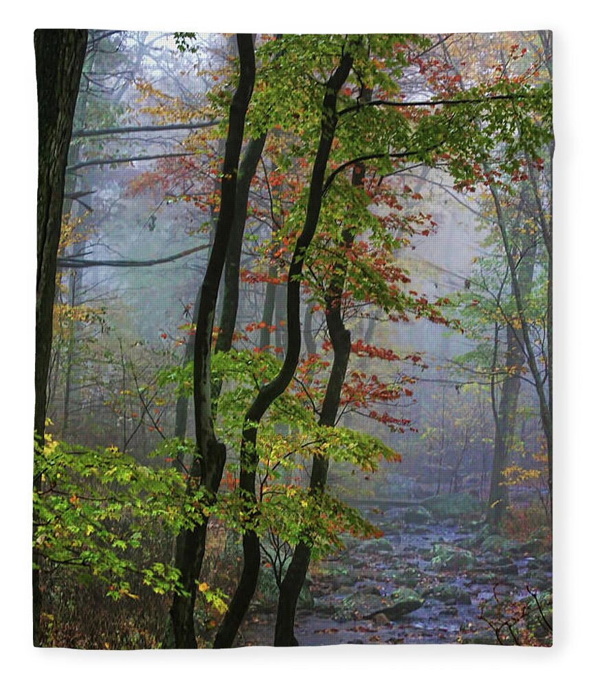 Forest Fleece Blanket featuring the photograph Fog in the Forest by Joan Bertucci