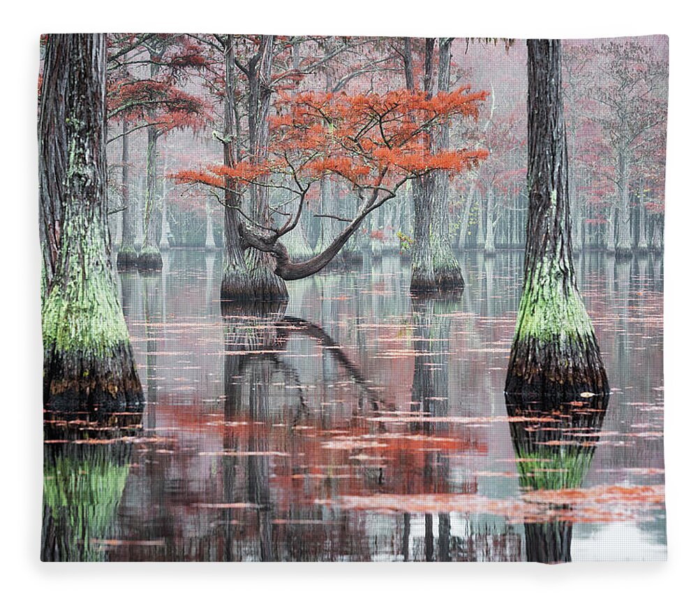 Abstract Fleece Blanket featuring the photograph Foggy Morning at the Cypress Lake - 3 by Alex Mironyuk