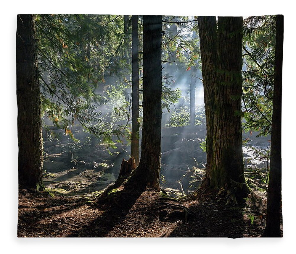 Alex Lyubar Fleece Blanket featuring the photograph Foggy morning in the forest by Alex Lyubar