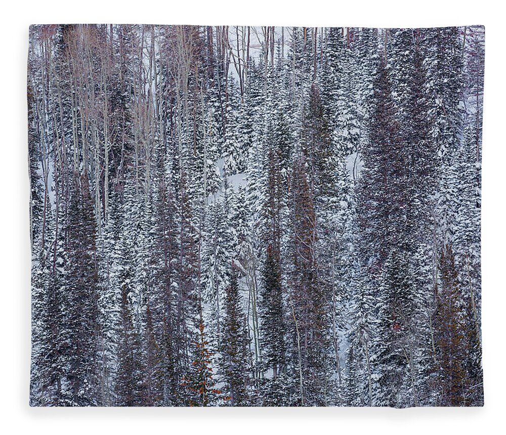 Park City Fleece Blanket featuring the photograph Forest in Winter by Donna Twiford