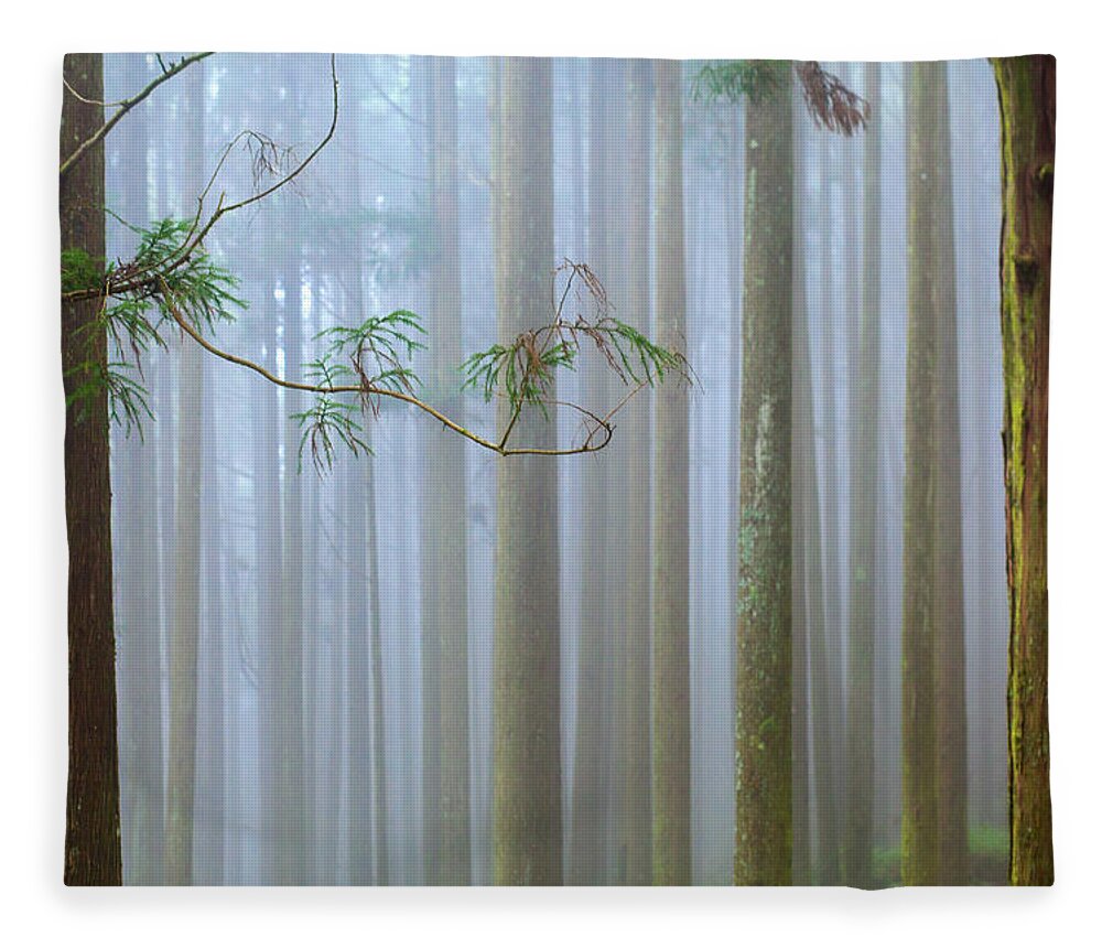 Tranquility Fleece Blanket featuring the photograph Forest Mist by Higrace Photo