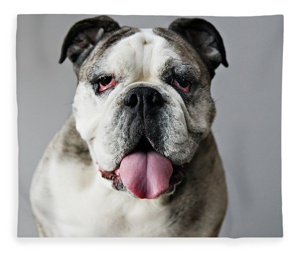 Pets Fleece Blanket featuring the photograph Frida by Laura Layera