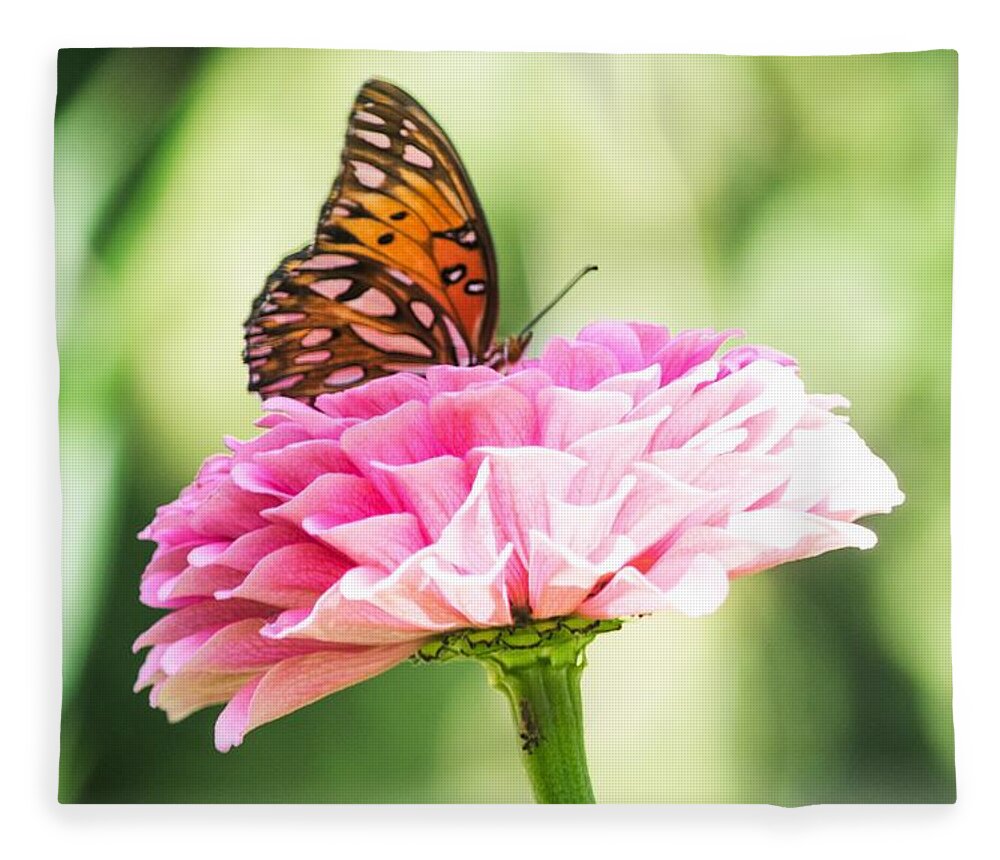 Gulf Fritillary Butterfly Fleece Blanket featuring the photograph Fritillary on Zinnia by Mary Ann Artz