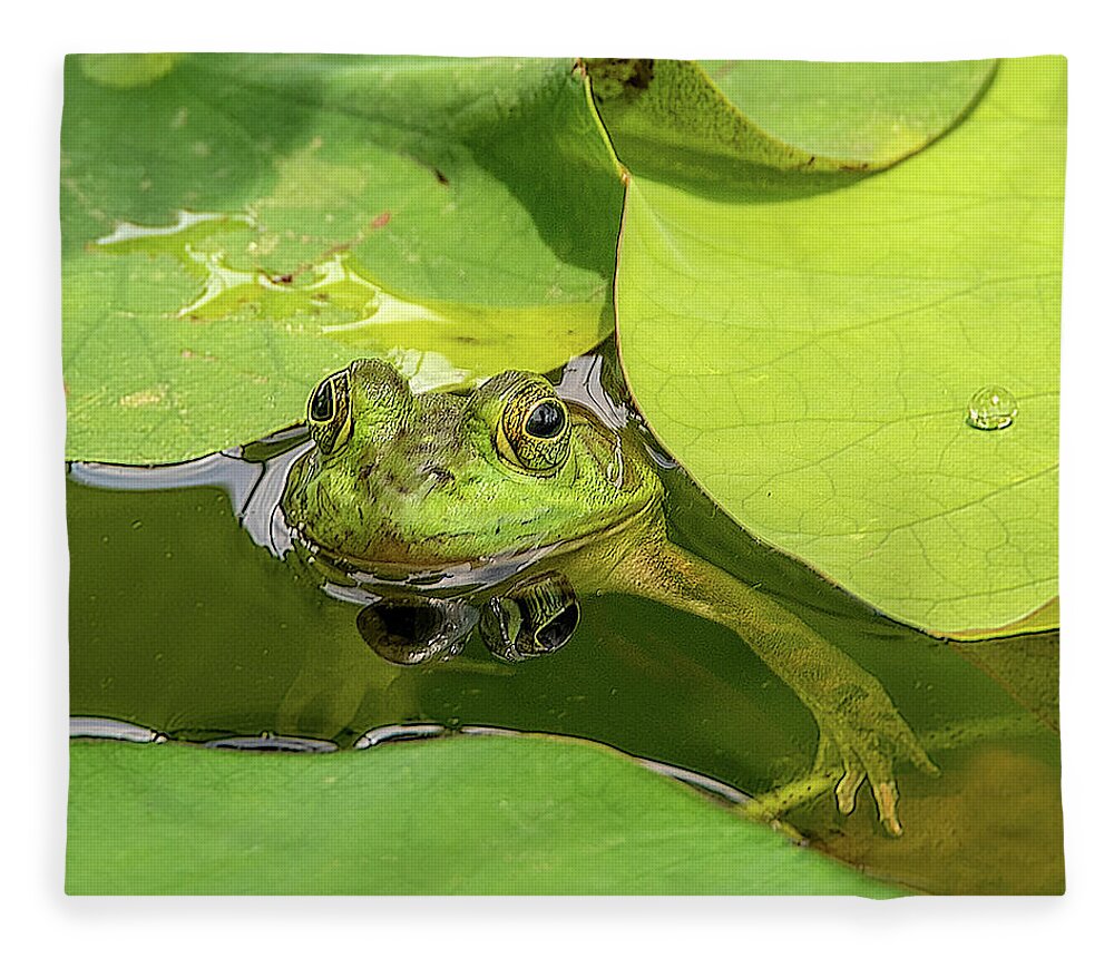 Frog Fleece Blanket featuring the photograph Frog by Minnie Gallman