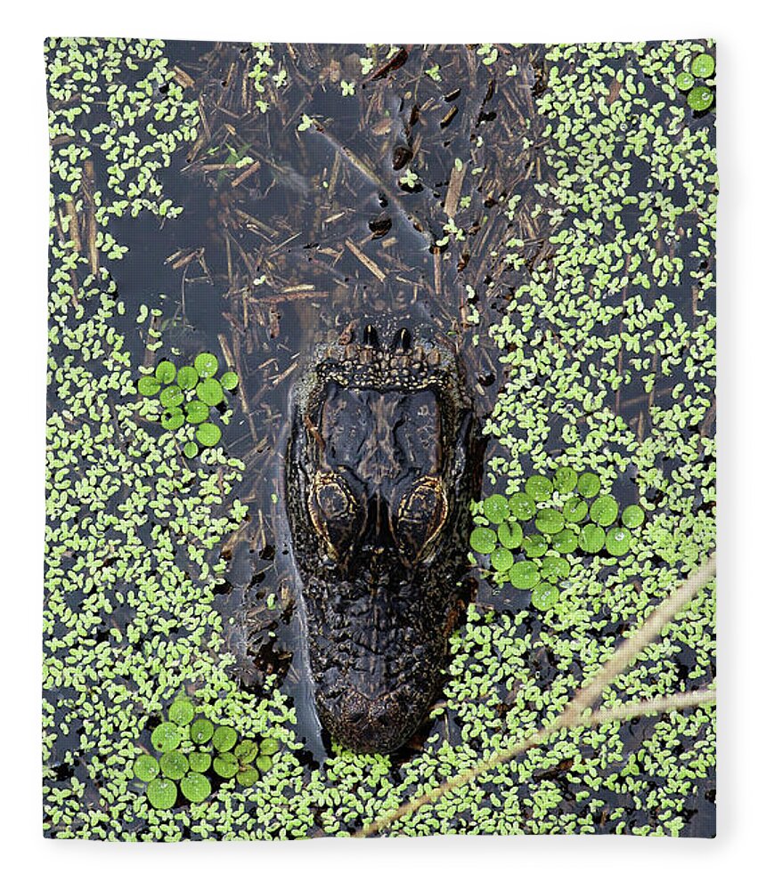 Alligator Fleece Blanket featuring the photograph From the Sticks by Michael Allard