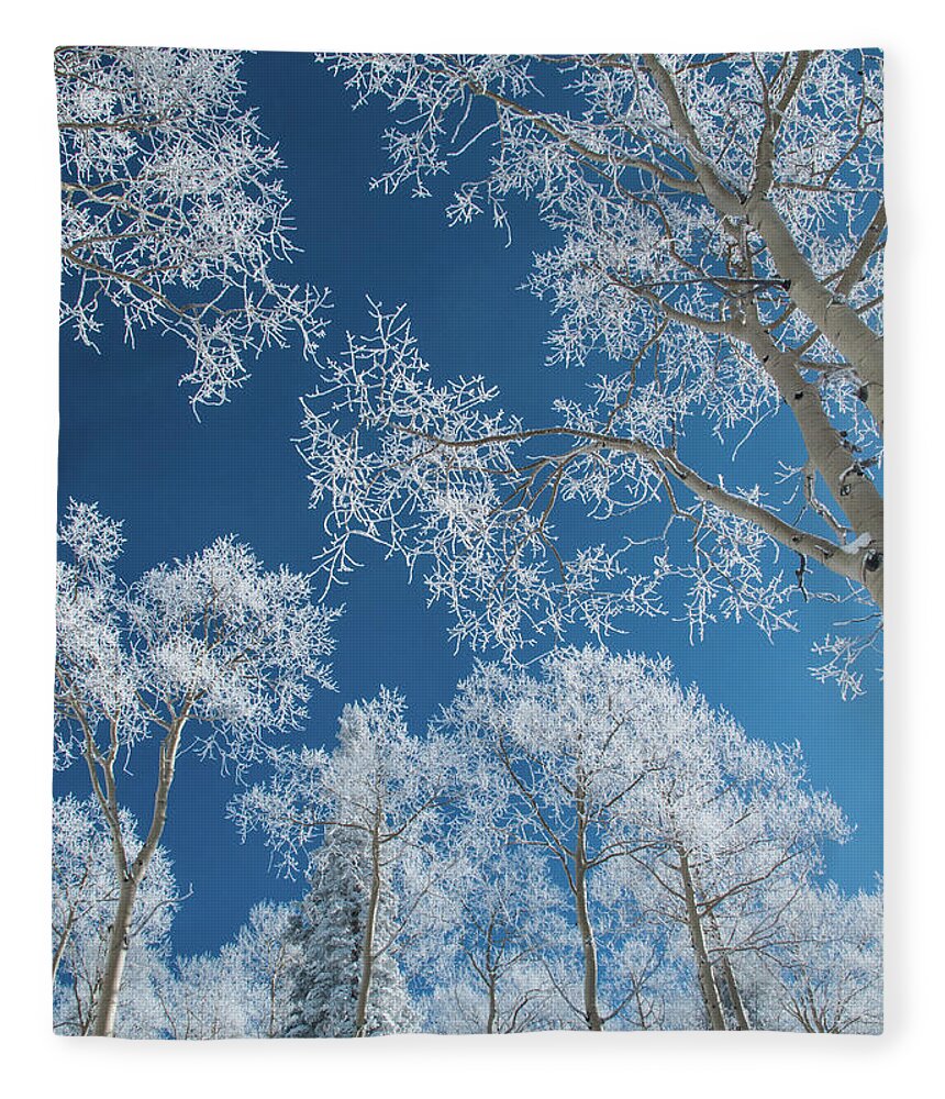 Tranquility Fleece Blanket featuring the photograph Frost Covered Trees On A Cold, Winter by Karen Desjardin