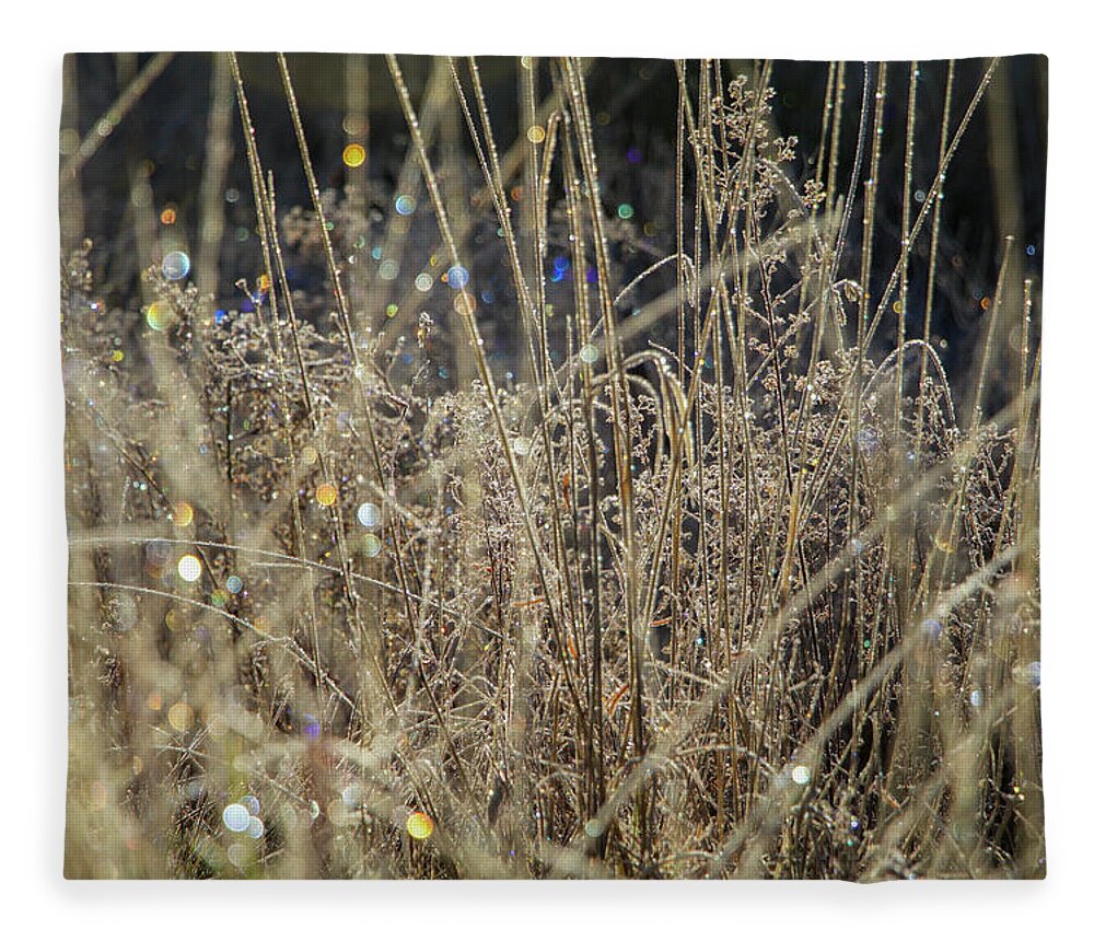 Frost Fleece Blanket featuring the photograph Frosty Meadow Grass 1 by Randy Robbins