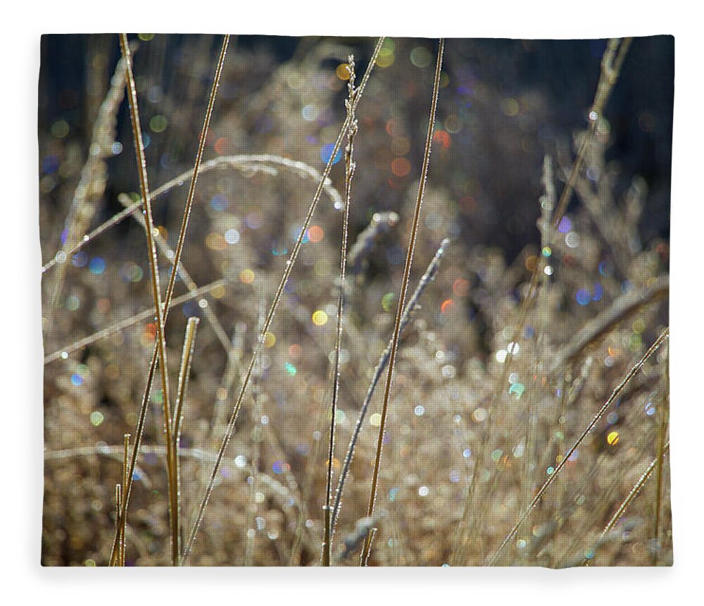 Frost Fleece Blanket featuring the photograph Frosty Meadow Grass 2 by Randy Robbins