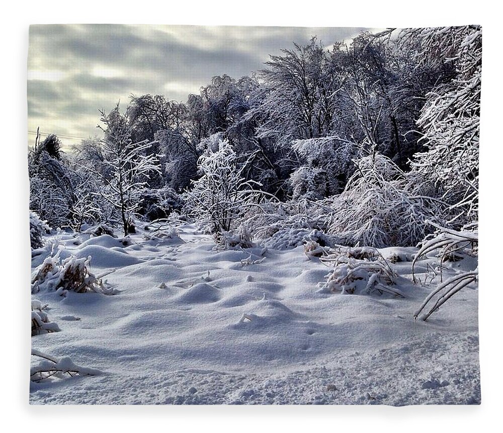 Landscape Fleece Blanket featuring the photograph Frozen Landscape by Marty Klar