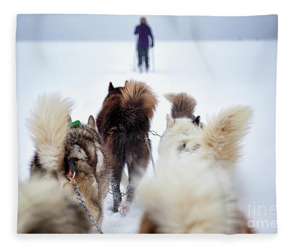 Dog Fleece Blanket featuring the photograph Fuzzy Tails Across the Snow by Becqi Sherman