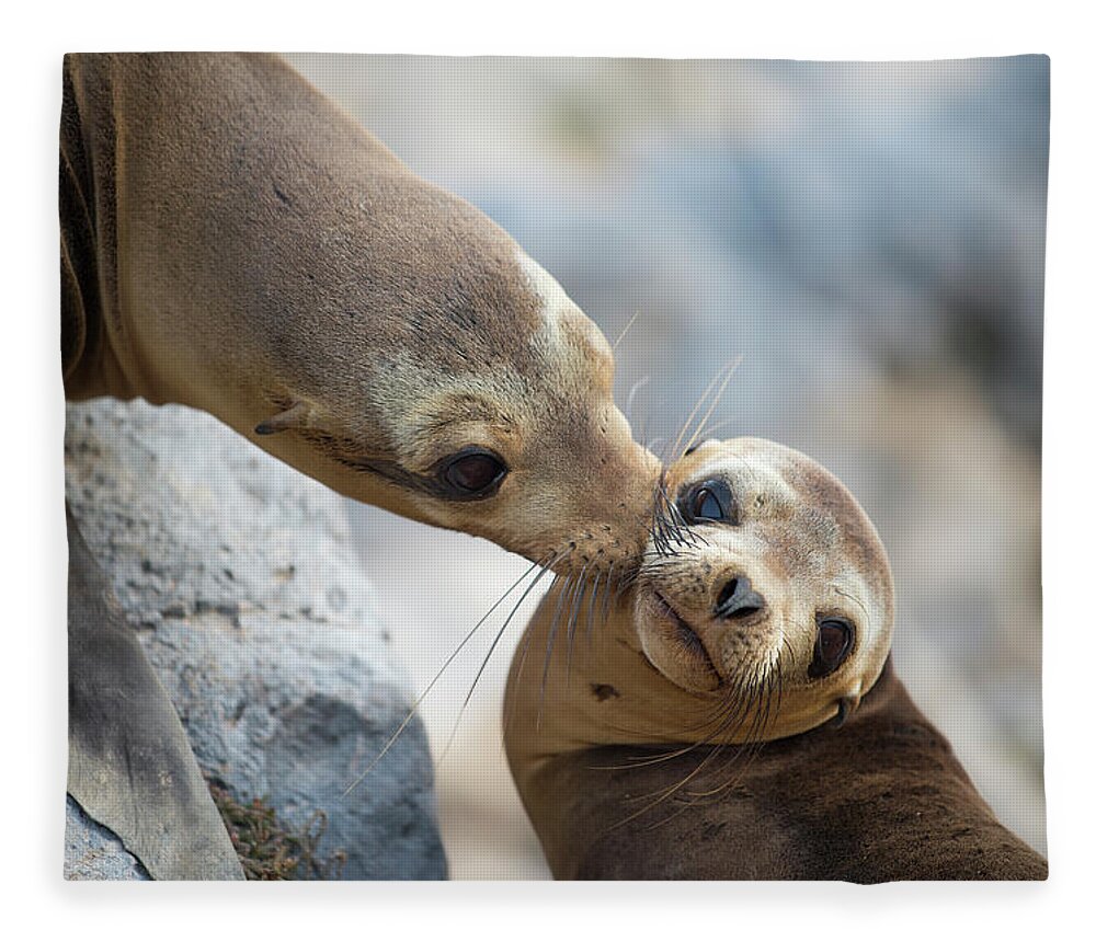 Animal Fleece Blanket featuring the photograph Galapagos Sealion Nuzzling Her Pup by Tui De Roy