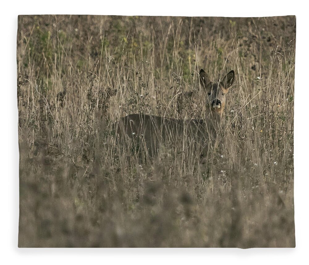 Flyladyphotographybywendycooper Fleece Blanket featuring the photograph Ghosts in the Grass Roe Deer by Wendy Cooper