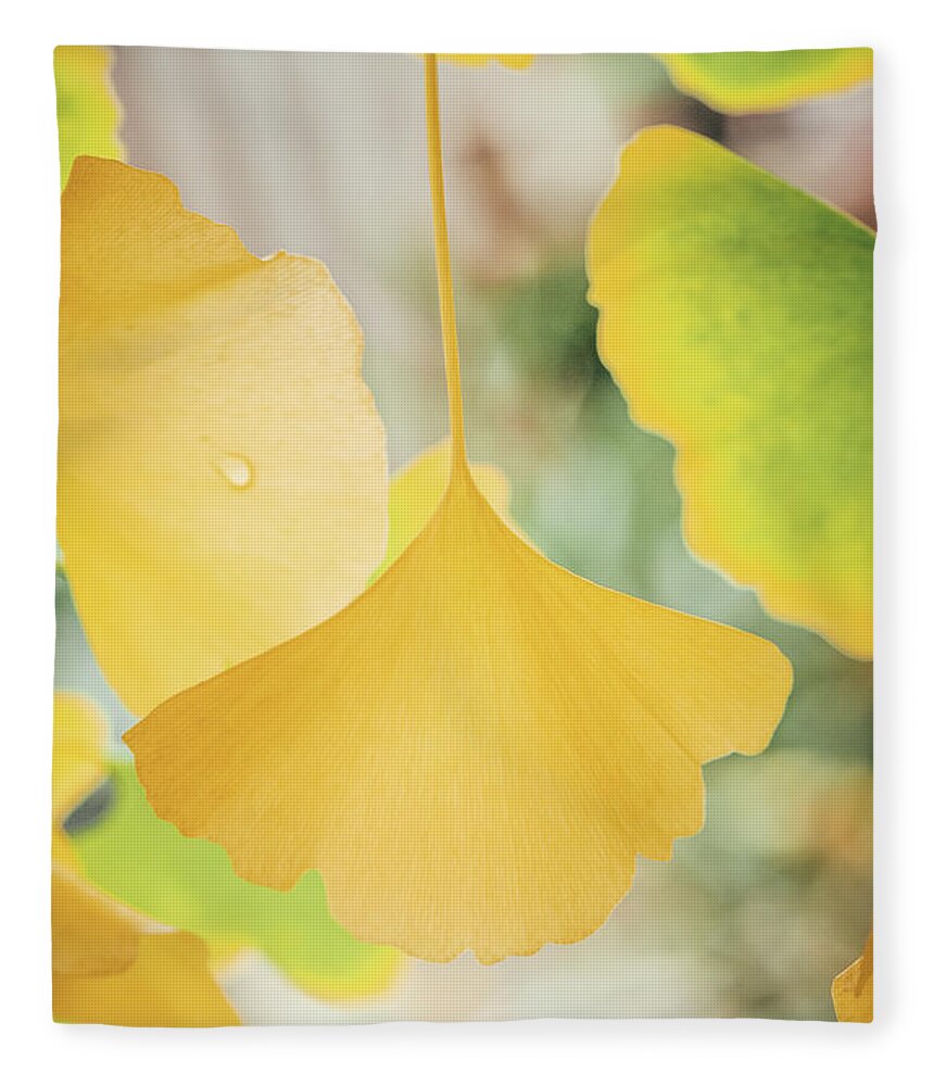 Ginkgo Fleece Blanket featuring the photograph Ginkgo Symbol by Philippe Sainte-Laudy