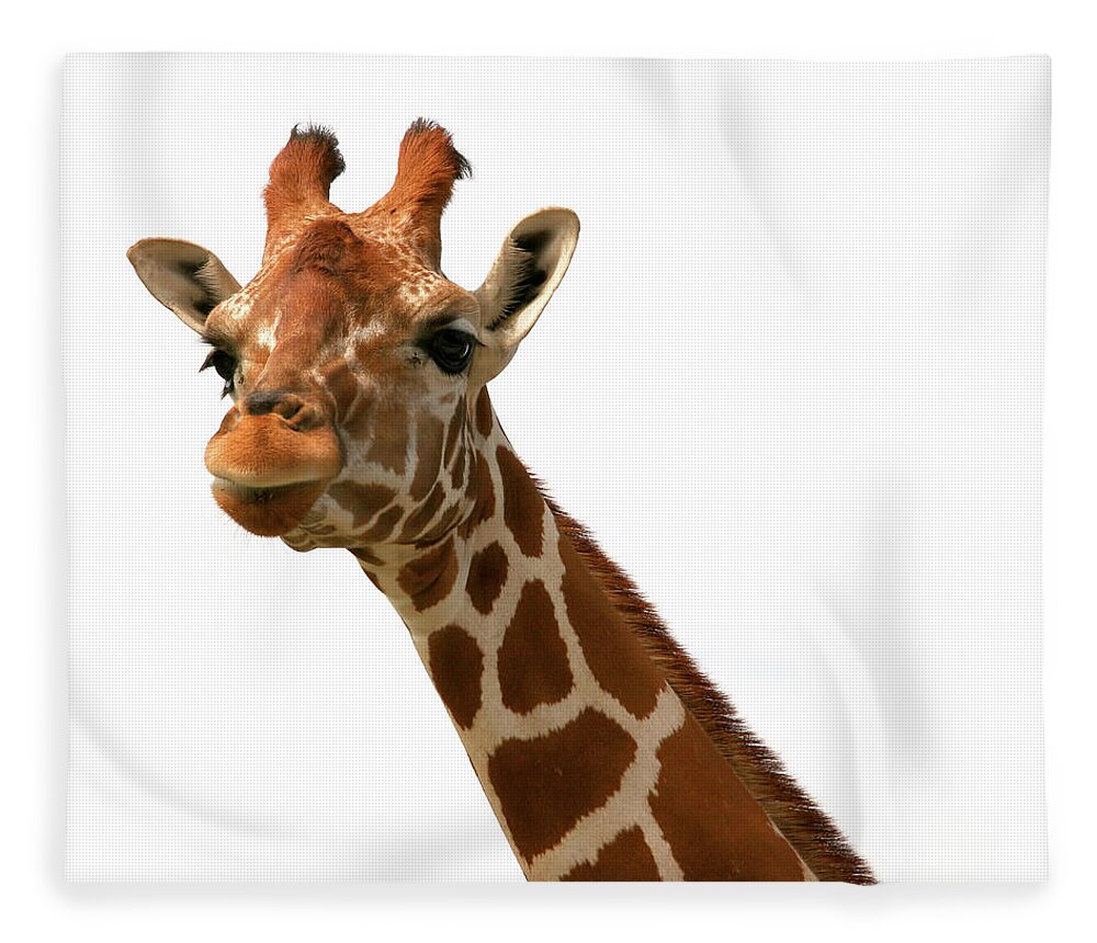 Animal Nose Fleece Blanket featuring the photograph Giraffe 1 by Jane