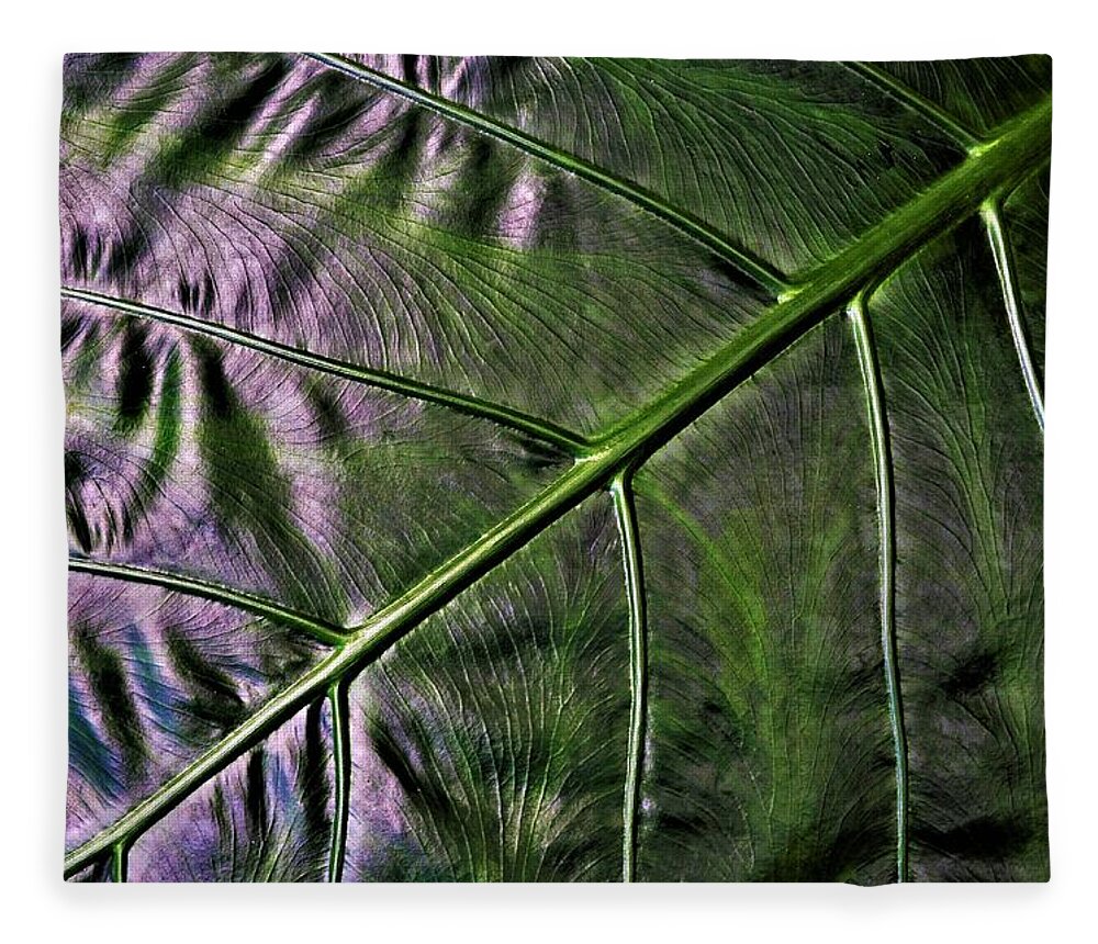 Leaves Fleece Blanket featuring the photograph Glamour Shot by Heidi Fickinger