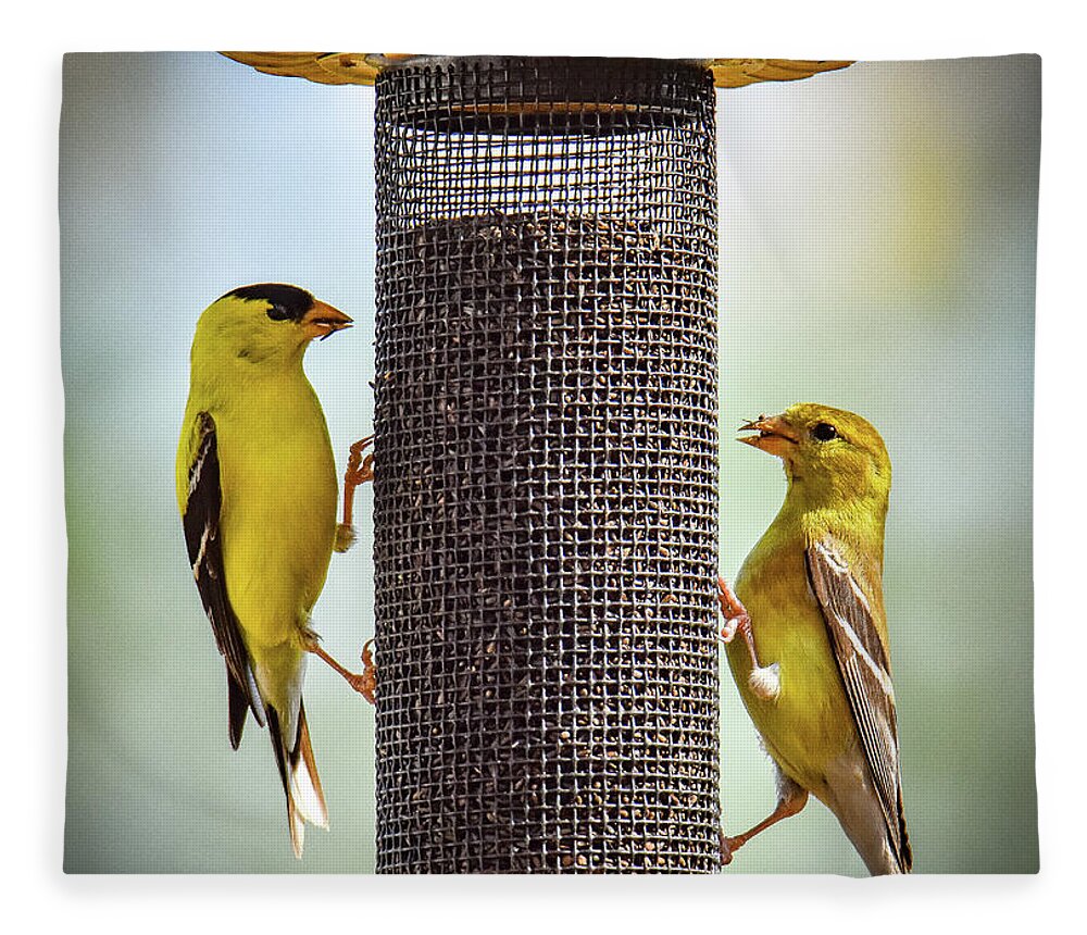 Gold Finch Symmetry Fleece Blanket featuring the photograph Gold Finch Symmetry by Michelle Wittensoldner
