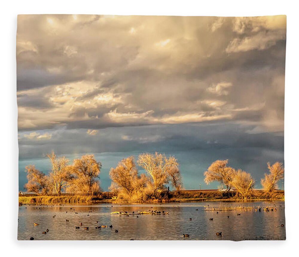 California Fleece Blanket featuring the photograph Golden Hour in the Refuge by Cheryl Strahl