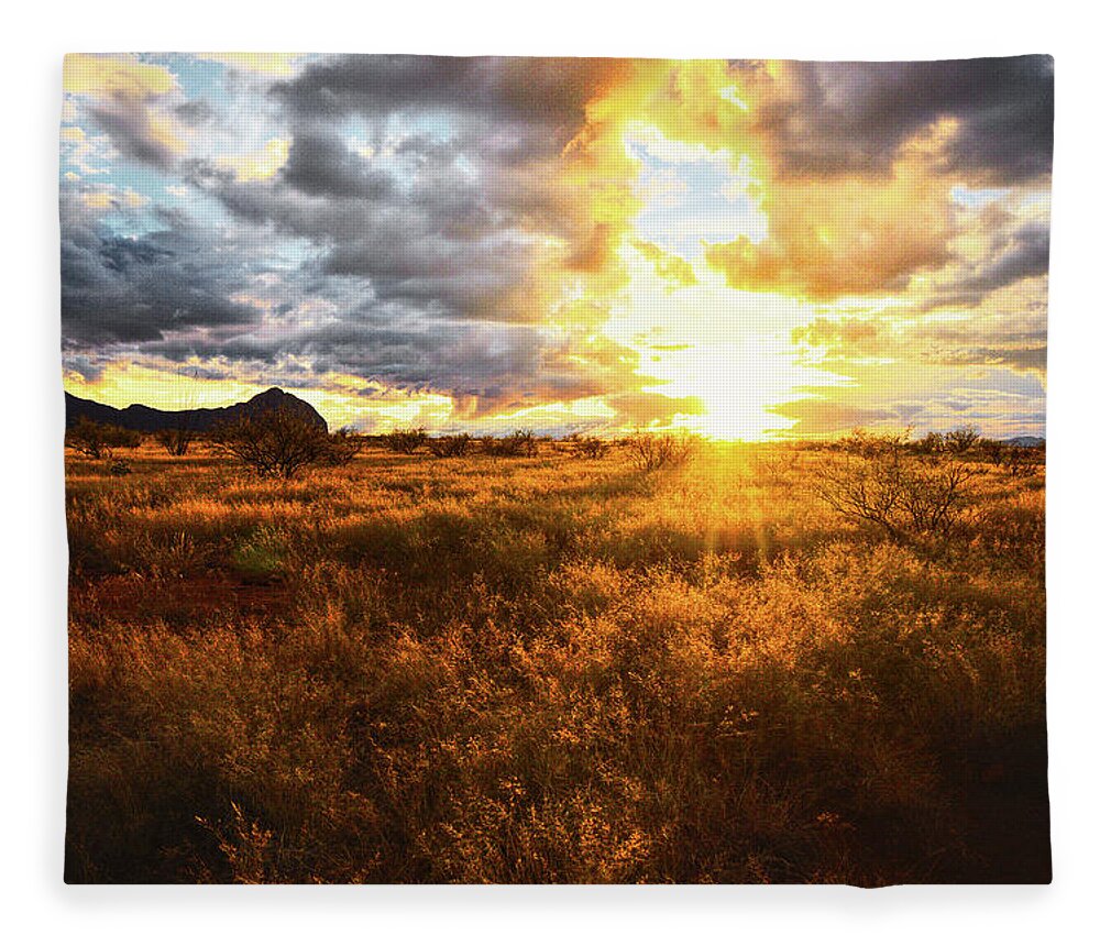 Grass Fleece Blanket featuring the photograph Golden light of southern Arizona by Chance Kafka
