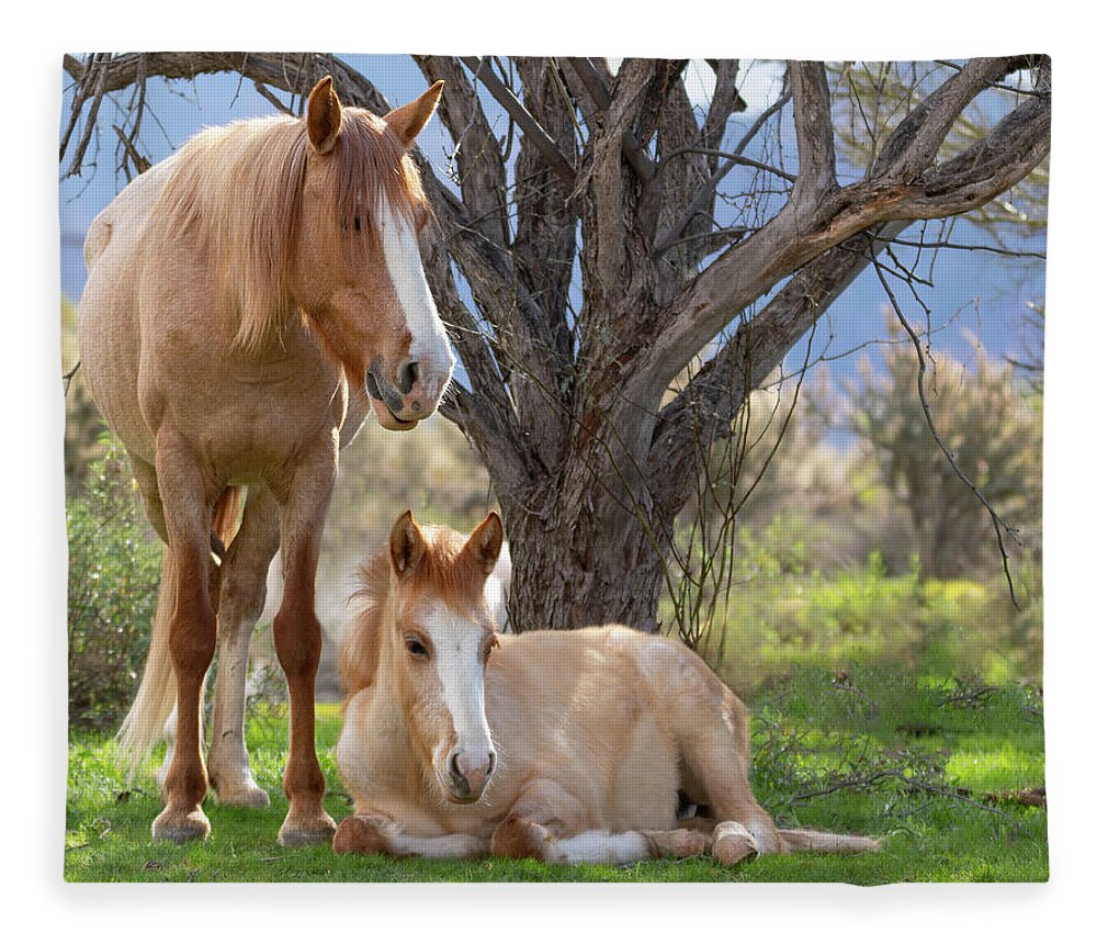 Wild Horses Fleece Blanket featuring the photograph Good mama by Mary Hone