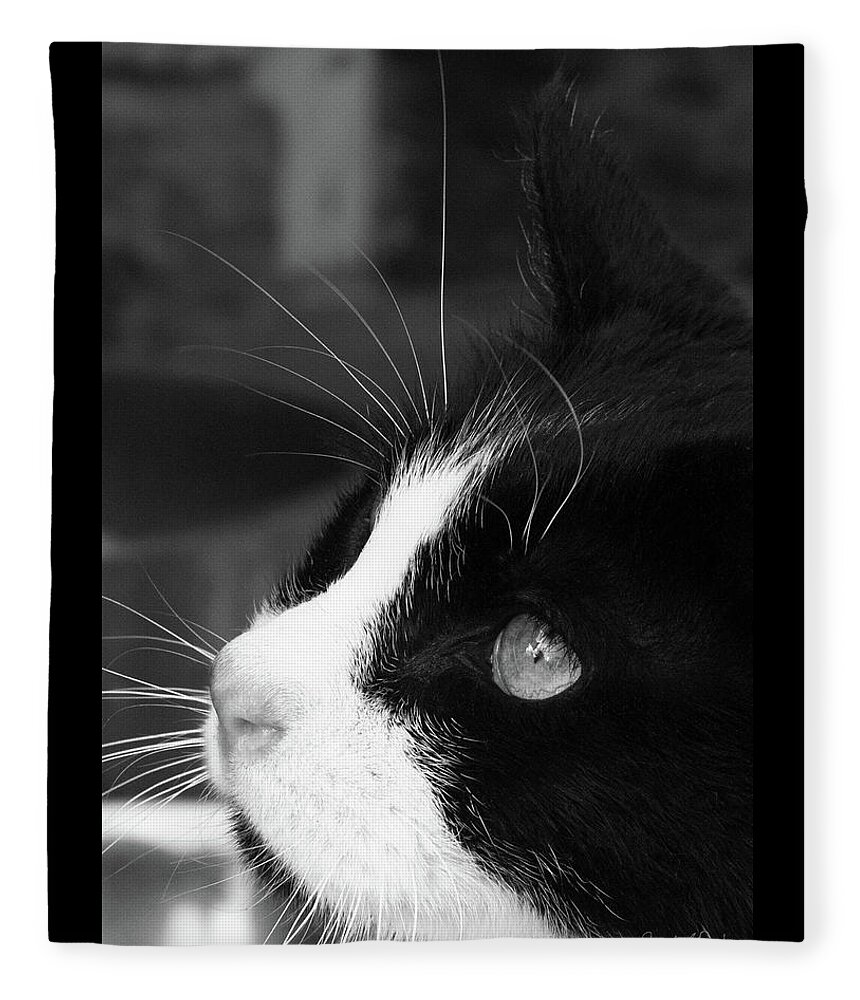 Gorgeous Fleece Blanket featuring the photograph Gorgeous in Profile by Sandra Dalton