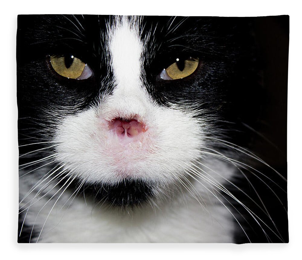 Feral Cat Photo Fleece Blanket featuring the photograph Gorgeous - Portrait by Sandra Dalton