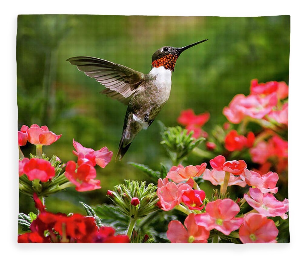 Hummingbird Fleece Blanket featuring the photograph Graceful Garden Jewel by Christina Rollo
