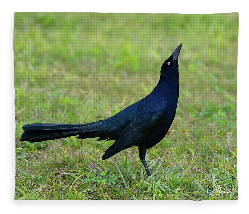 Grackle Fleece Blanket featuring the photograph Grackle by Ty Husak