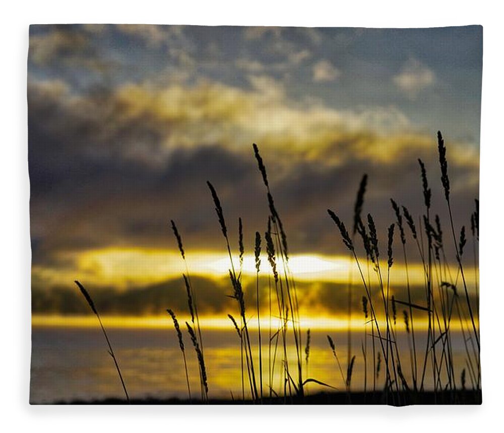 Lake Fleece Blanket featuring the photograph Grassy Shoreline Sunrise by Tom Gresham