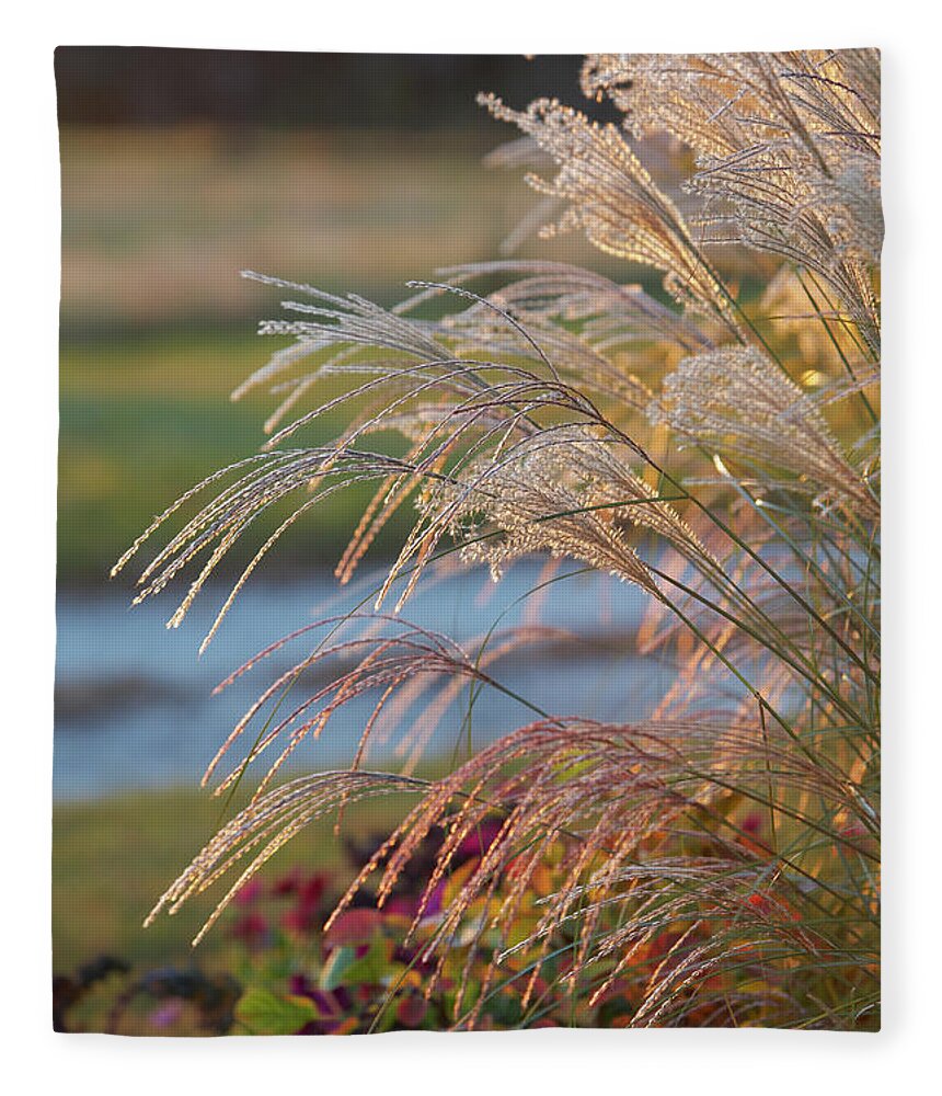 Grasses Fleece Blanket featuring the photograph Gravel Road grasses by Garden Gate magazine
