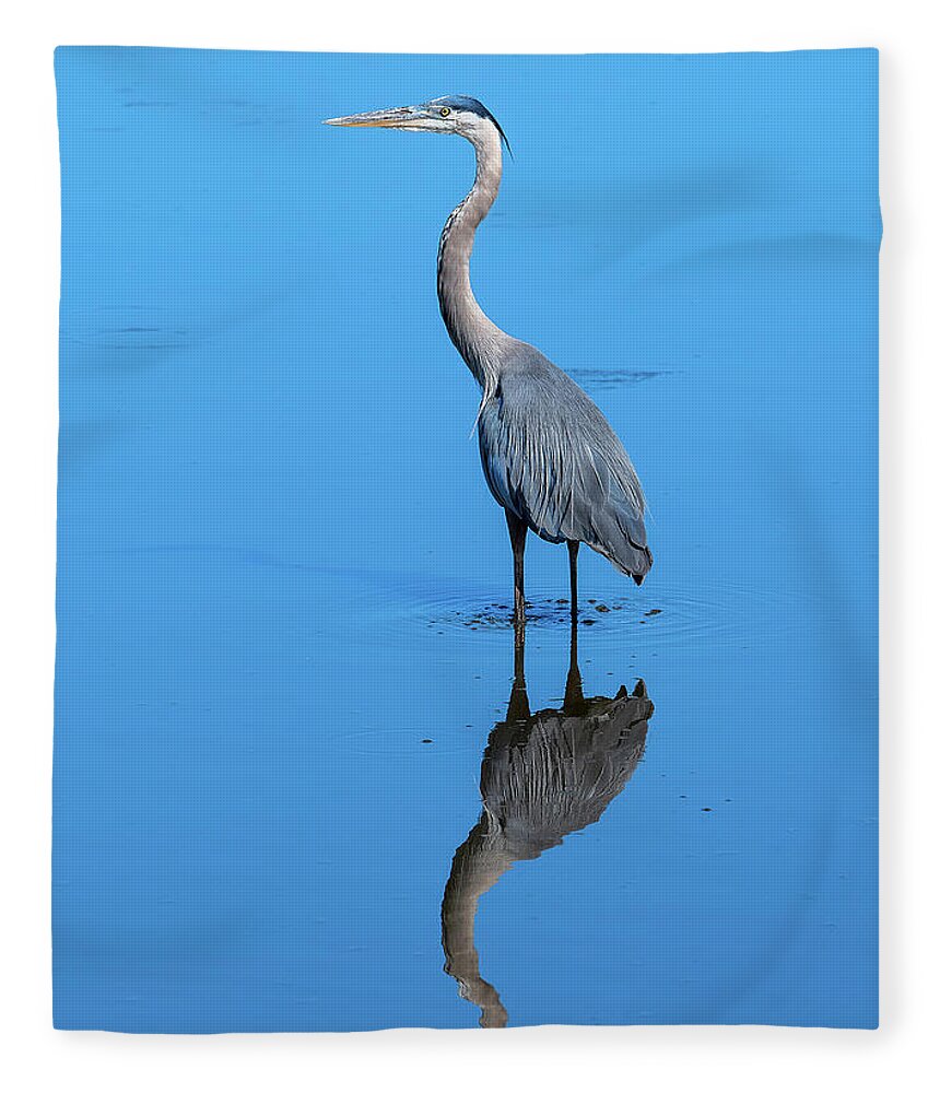 Nature Fleece Blanket featuring the photograph Great Blue Heron DMSB0166 by Gerry Gantt