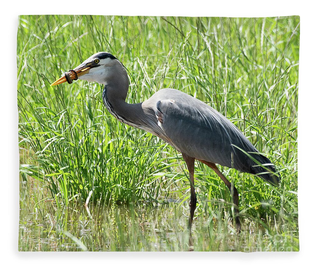 Bird Fleece Blanket featuring the photograph Great Blue Heron with a Snake by Dennis Hammer