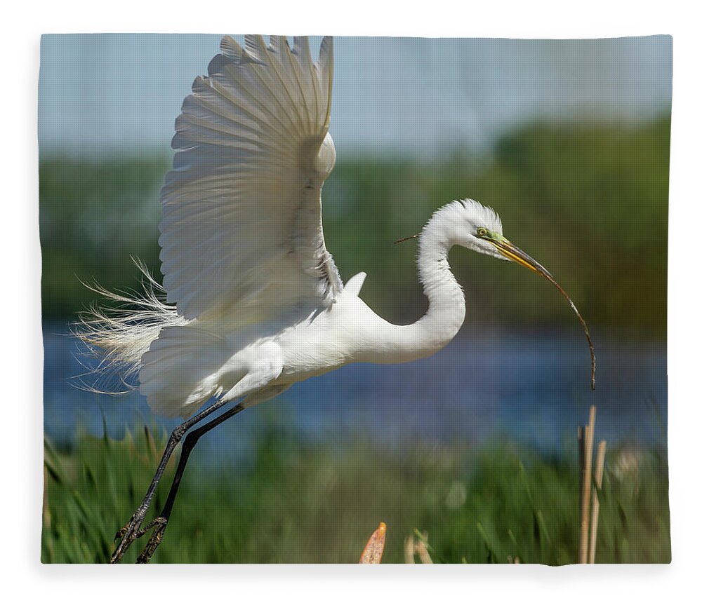 Great Egret Fleece Blanket featuring the photograph Great Egret 2014-1 by Thomas Young