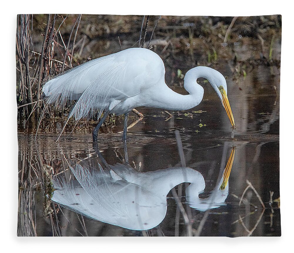 Nature Fleece Blanket featuring the photograph Great Egret in Breeding Plumage DMSB0154 by Gerry Gantt