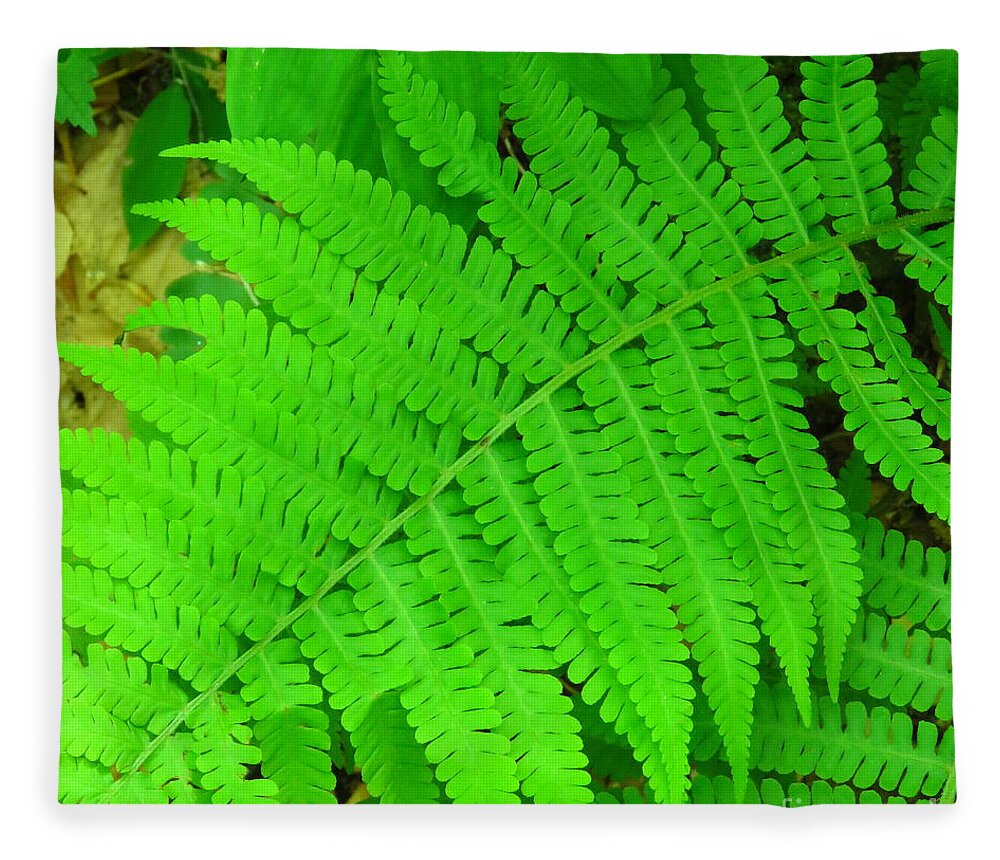 Ferns Fleece Blanket featuring the photograph Green Ferns by Anita Adams