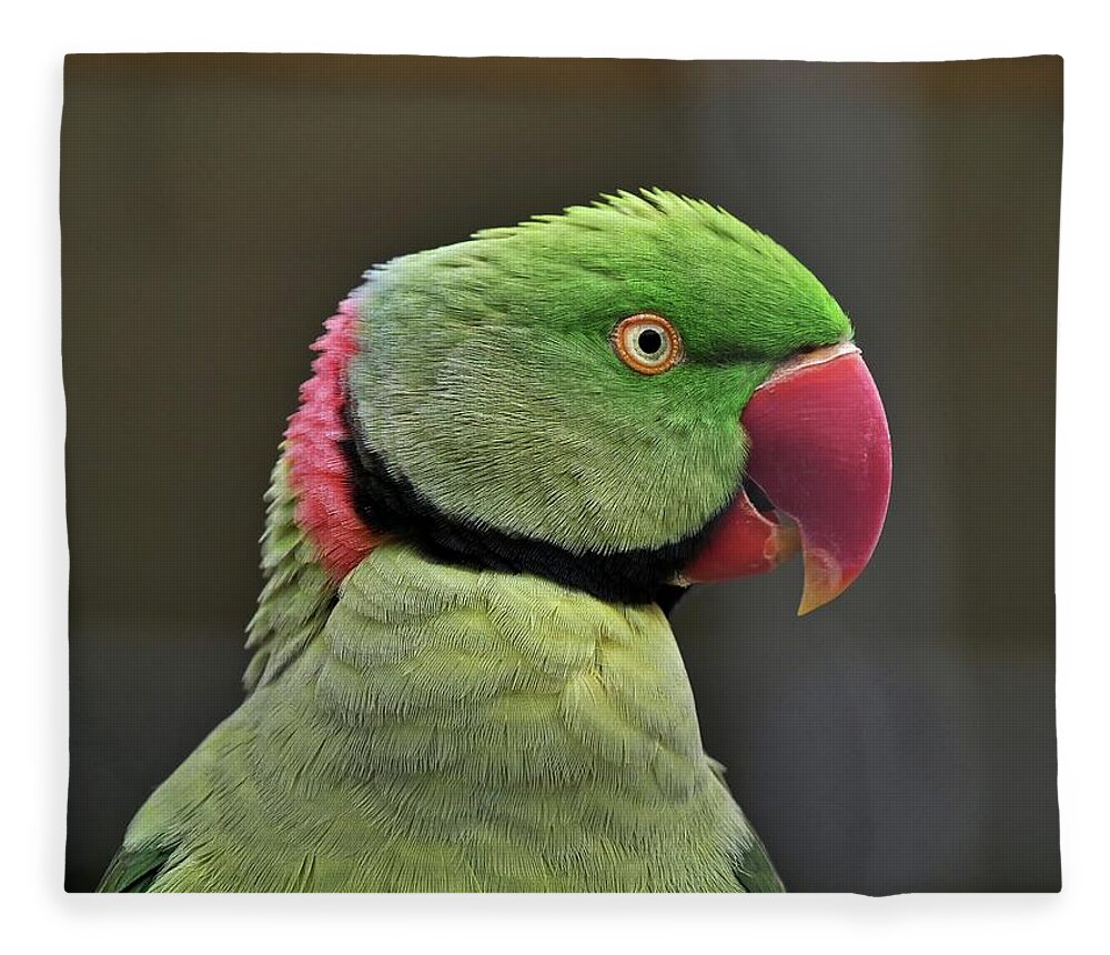 Bird Fleece Blanket featuring the photograph Green parrot by Martin Smith
