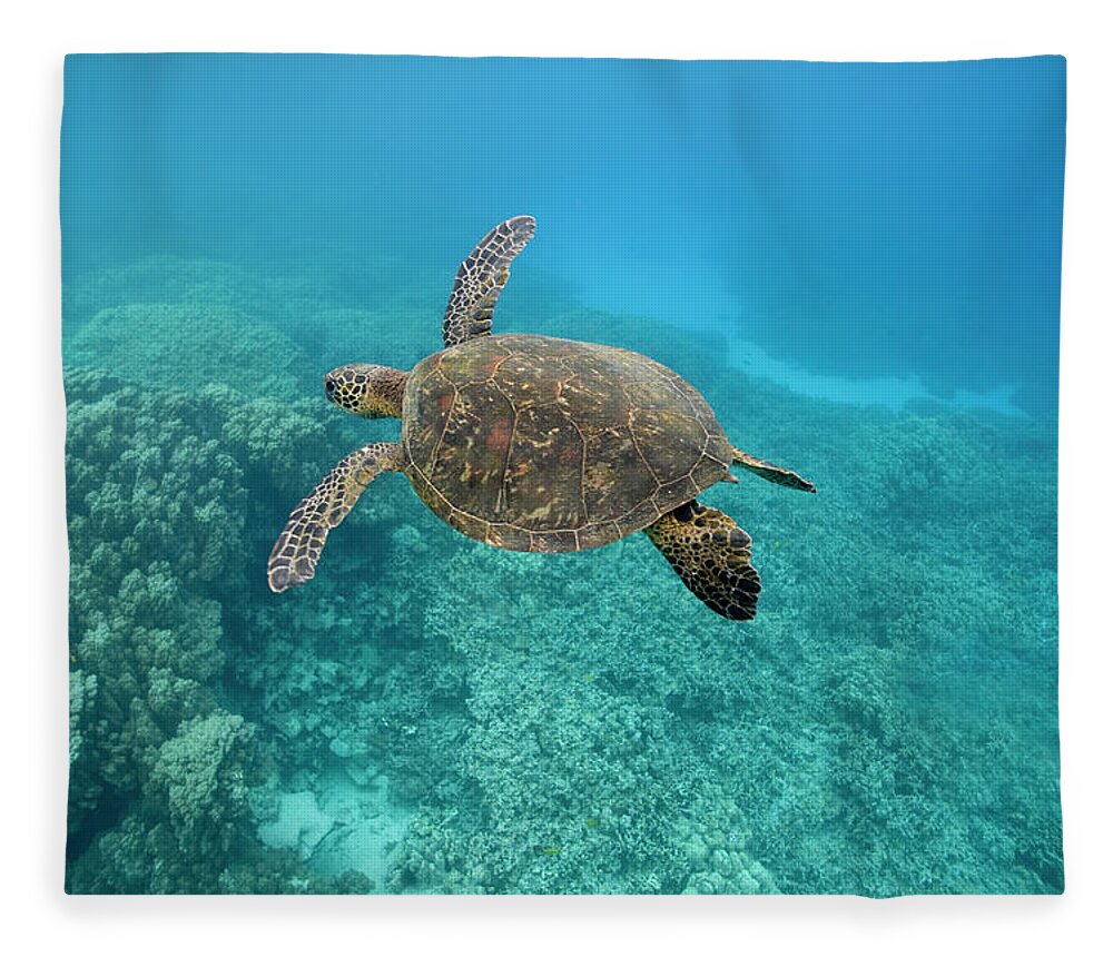 Underwater Fleece Blanket featuring the photograph Green Sea Turtle, Big Island, Hawaii by Paul Souders