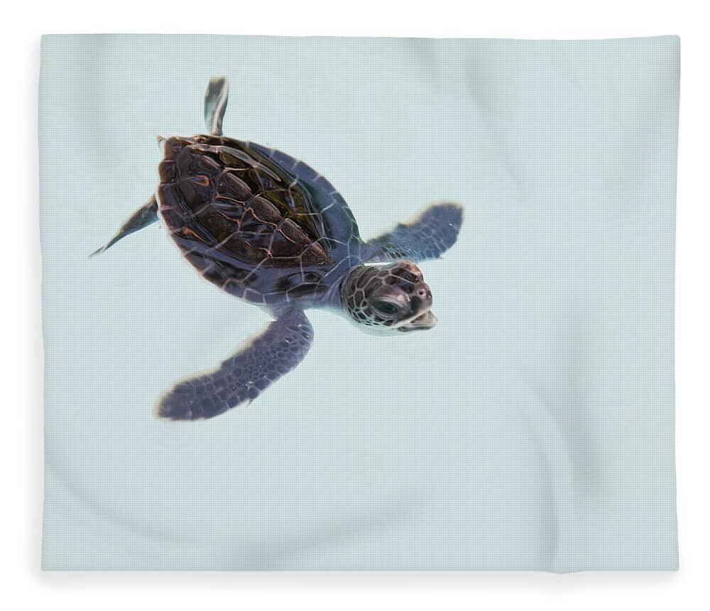 Xcaret Fleece Blanket featuring the photograph Green Sea Turtle Hatchling by Trina Loucks