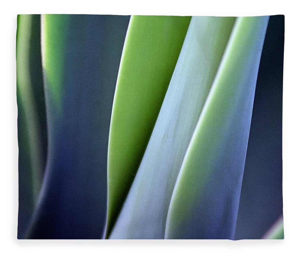Sparse Fleece Blanket featuring the photograph Green Smooth Leaves by Sergeo syd