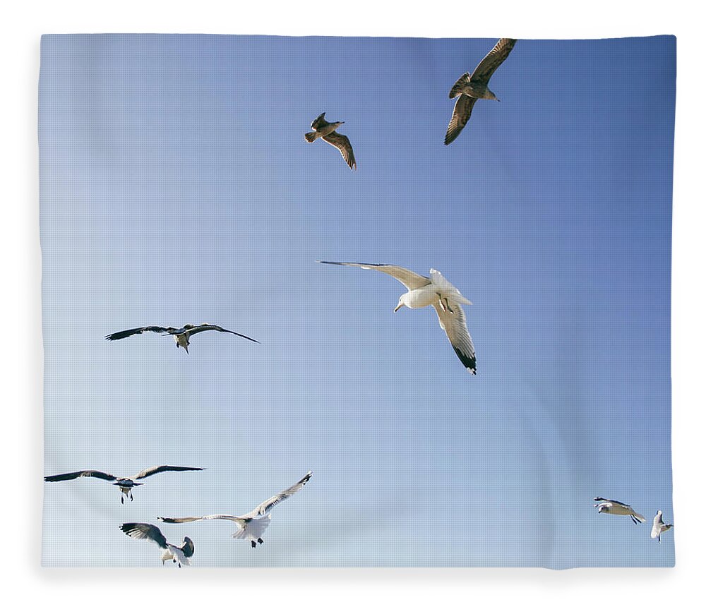 Animal Themes Fleece Blanket featuring the photograph Group Of Birds Flying by Tuan Tran